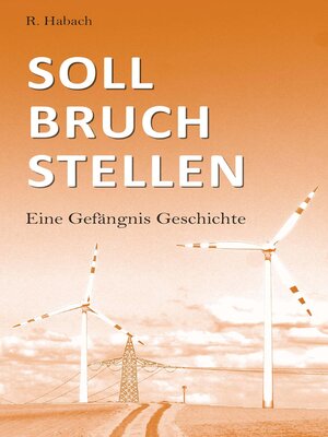 cover image of Sollbruchstellen